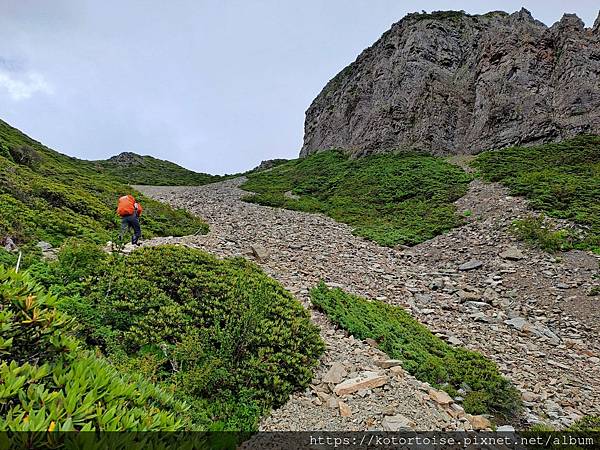 [台灣/台中] 2024.8 雪北下翠池 (中)