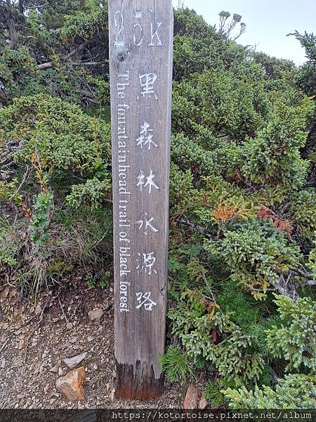 [台灣/台中] 2024.8 雪北下翠池 (中)