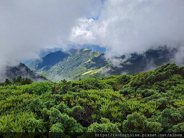 [台灣/台中] 2024.8 雪北下翠池 (中)
