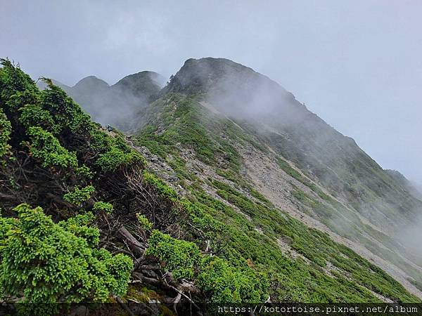 [台灣/台中] 2024.8 雪北下翠池 (中)