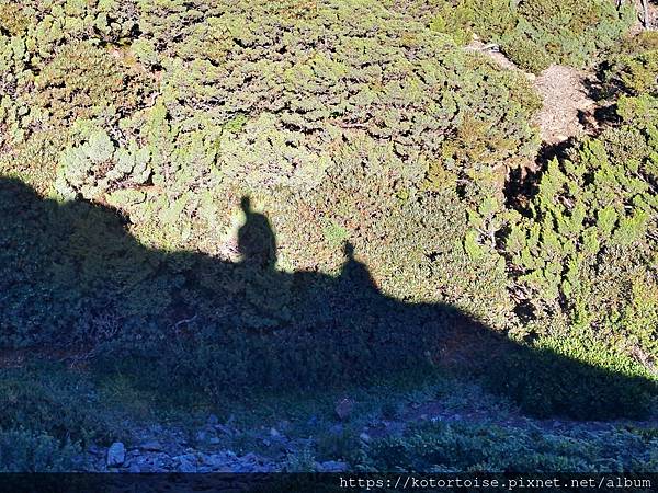 [台灣/台中] 2024.8 雪北下翠池 (中)