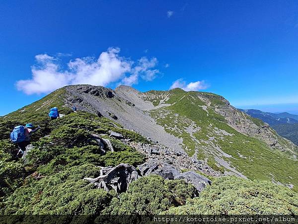 [台灣/台中] 2024.8 雪北下翠池 (中)