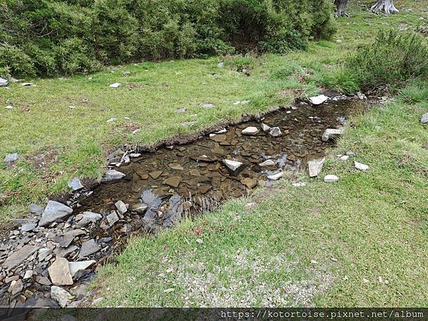 [台灣/台中] 2024.8 雪北下翠池 (下)