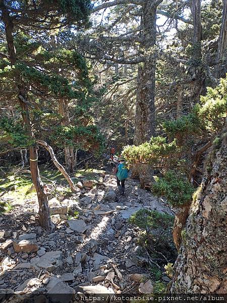 [台灣/台中] 2024.8 雪北下翠池 (下)