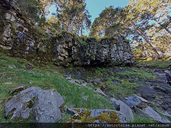 [台灣/台中] 2024.8 雪北下翠池 (下)