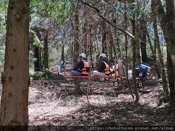 [台灣/台中] 2024.8 雪北下翠池 (下)