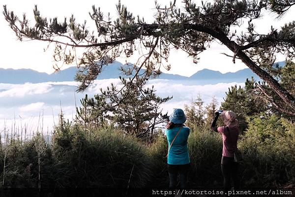 [台灣/台中] 2024.8 雪北下翠池一