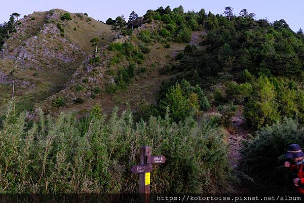 [台灣/台中] 2024.8 雪北下翠池一
