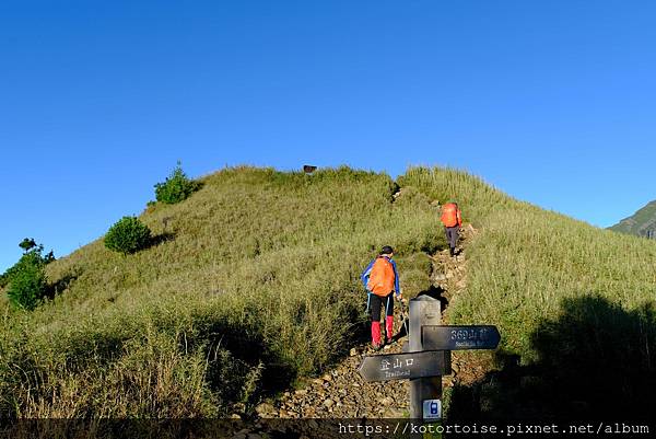 [台灣/台中] 2024.8 雪北下翠池一