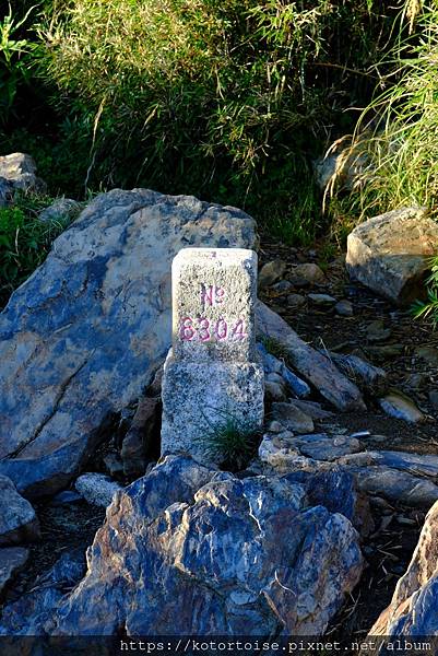 [台灣/台中] 2024.8 雪北下翠池一