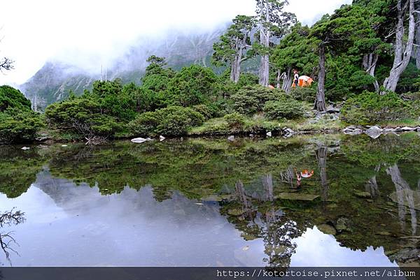 [台灣/台中] 2024.8 雪北下翠池 (下)