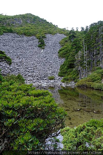 [台灣/台中] 2024.8 雪北下翠池 (下)