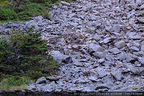 [台灣/台中] 2024.8 雪北下翠池 (下)