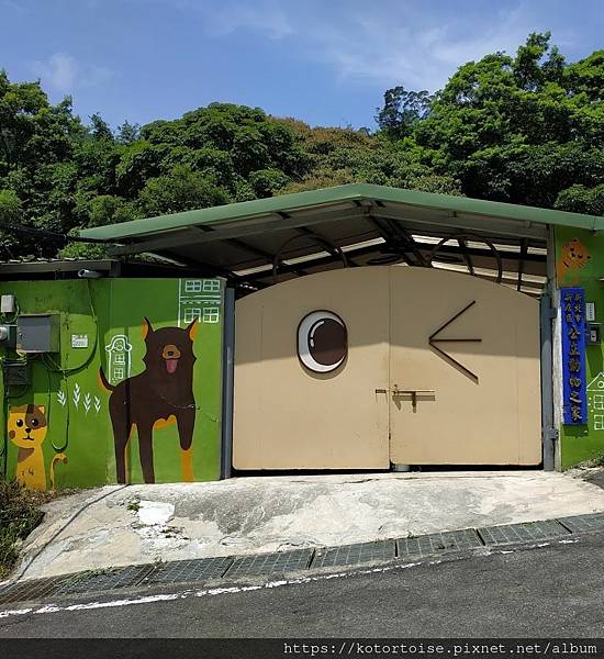 [流浪,在都市角落] 上山到動物之家嚕狗
