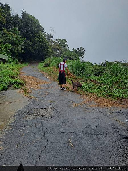 [流浪,在都市角落] 上山到動物之家嚕狗