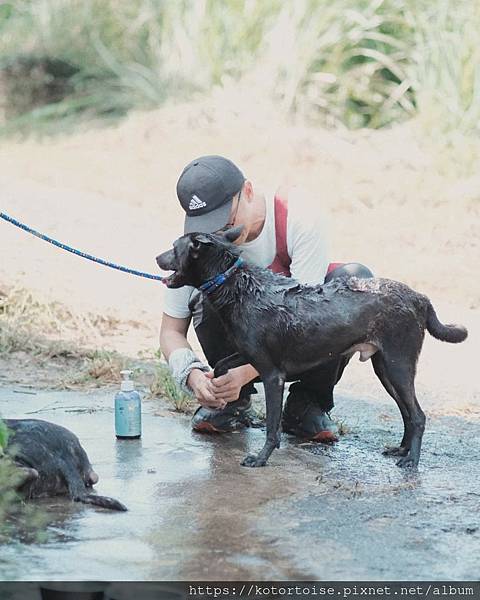 [流浪,在都市角落] 上山到動物之家嚕狗
