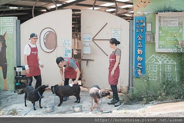 [流浪,在都市角落] 上山到動物之家嚕狗
