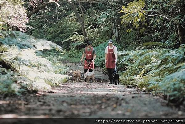 [流浪,在都市角落] 上山到動物之家嚕狗