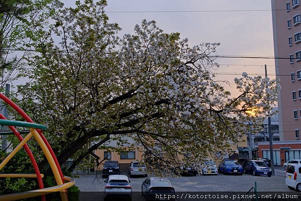[日本北陸關西] 2025.4 名古屋藤が丘散策