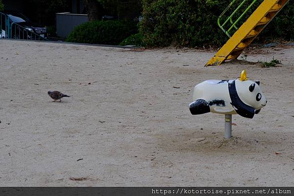 [日本北陸關西] 2025.4 名古屋藤が丘散策
