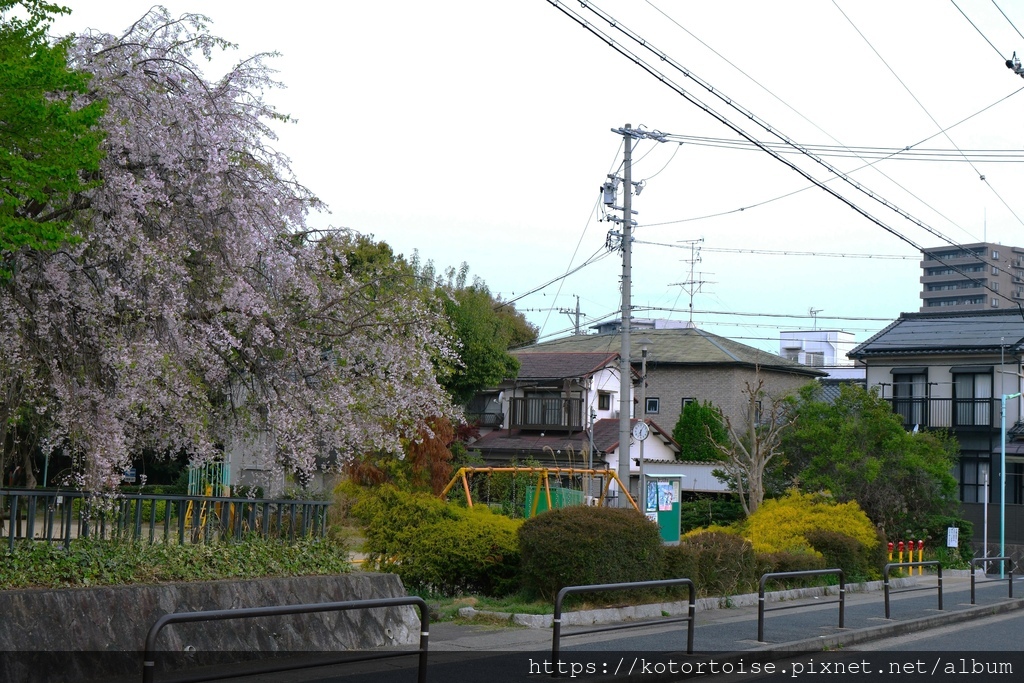 [日本北陸關西] 2025.4 名古屋藤が丘散策