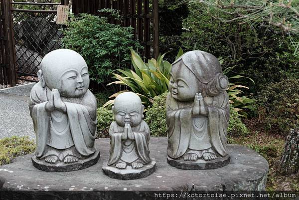 [日本北陸關西] 2025.4 曼陀羅寺紫藤花欲語還休,高山