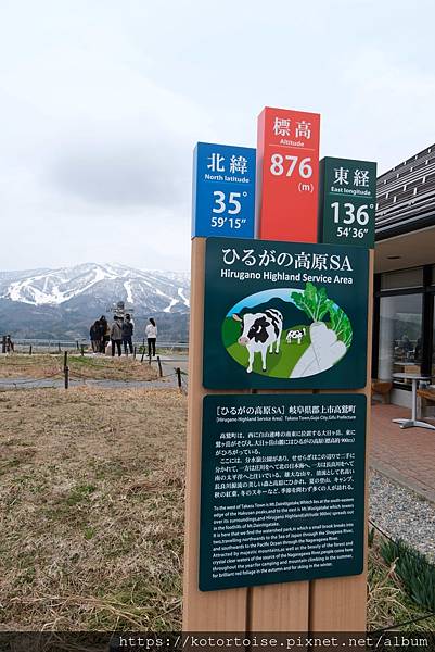 [日本北陸關西] 2025.4 曼陀羅寺紫藤花欲語還休,高山