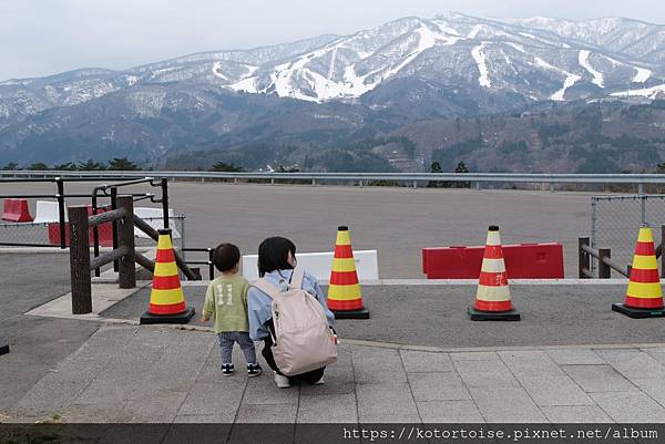 [日本北陸關西] 2025.4 曼陀羅寺紫藤花欲語還休,高山