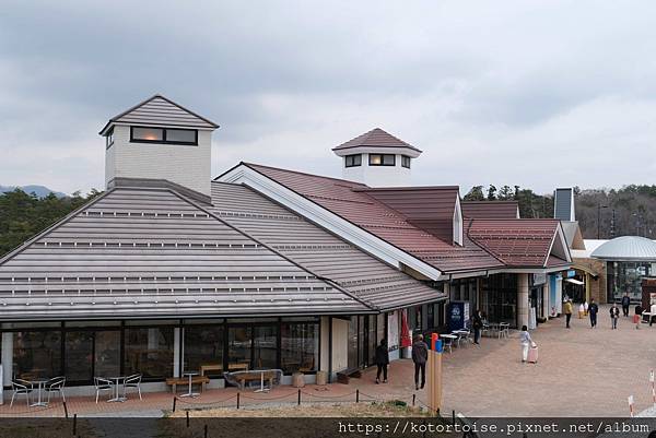 [日本北陸關西] 2025.4 曼陀羅寺紫藤花欲語還休,高山