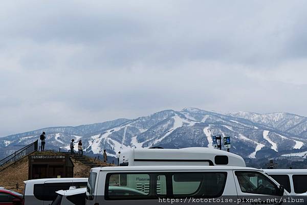 [日本北陸關西] 2025.4 曼陀羅寺紫藤花欲語還休,高山