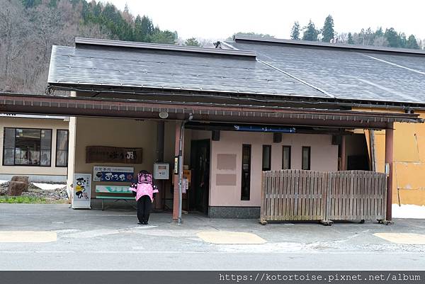 [日本北陸關西] 2025.4 曼陀羅寺紫藤花欲語還休,高山