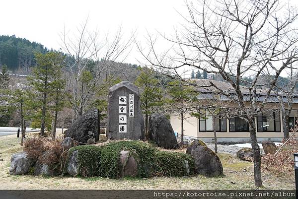 [日本北陸關西] 2025.4 曼陀羅寺紫藤花欲語還休,高山