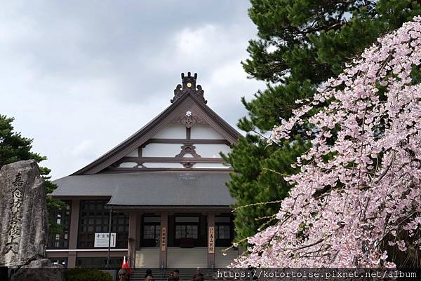 [日本北陸關西] 2025.4 曼陀羅寺紫藤花欲語還休,高山