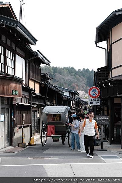 [日本北陸關西] 2025.4 曼陀羅寺紫藤花欲語還休,高山