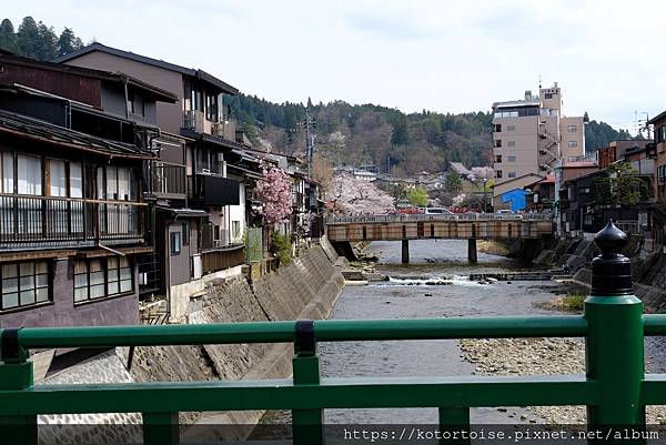 [日本北陸關西] 2025.4 曼陀羅寺紫藤花欲語還休,高山