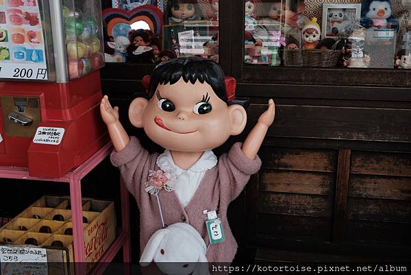 [日本北陸關西] 2025.4 曼陀羅寺紫藤花欲語還休,高山