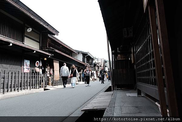 [日本北陸關西] 2025.4 曼陀羅寺紫藤花欲語還休,高山