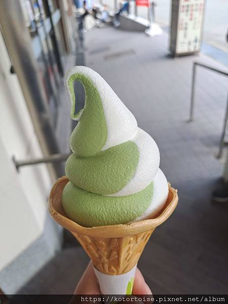 [日本北陸關西] 2025.4 曼陀羅寺紫藤花欲語還休,高山