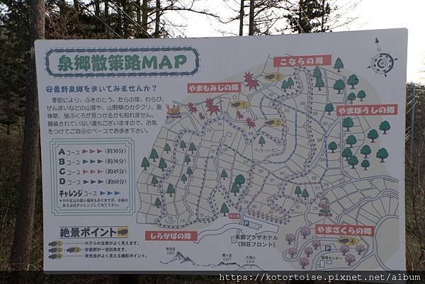 [日本北陸關西] 2025.4 安曇野溫泉趣,大王山葵農場踏