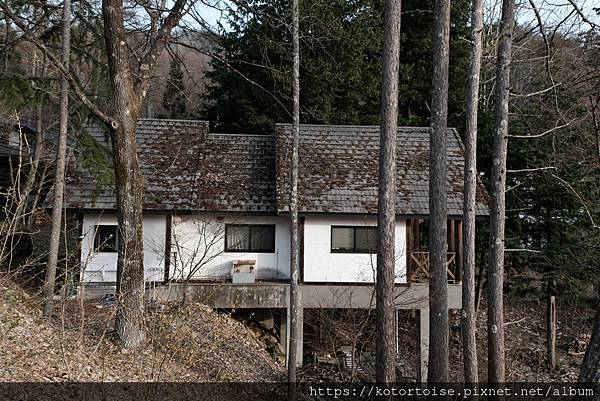 [日本北陸關西] 2025.4 安曇野溫泉趣,大王山葵農場踏