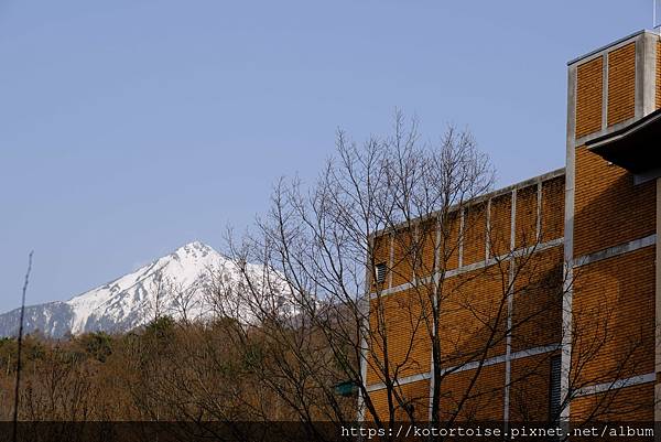 [日本北陸關西] 2025.4 安曇野溫泉趣,大王山葵農場踏