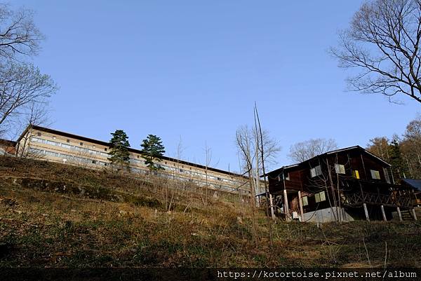 [日本北陸關西] 2025.4 安曇野溫泉趣,大王山葵農場踏