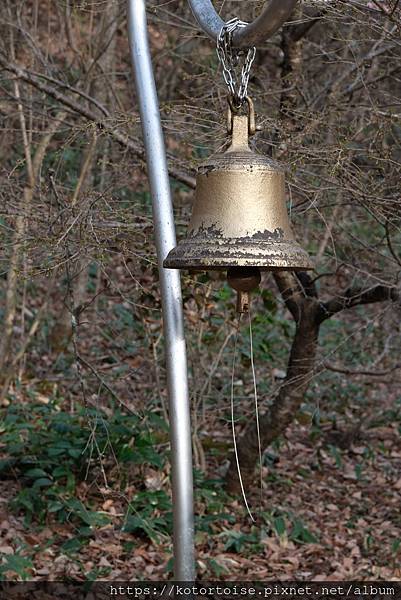 [日本北陸關西] 2025.4 安曇野溫泉趣,大王山葵農場踏