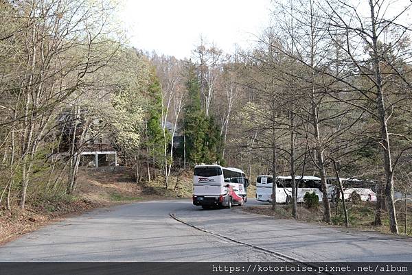 [日本北陸關西] 2025.4 安曇野溫泉趣,大王山葵農場踏