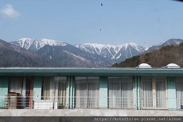 [日本北陸關西] 2025.4 安曇野溫泉趣,大王山葵農場踏