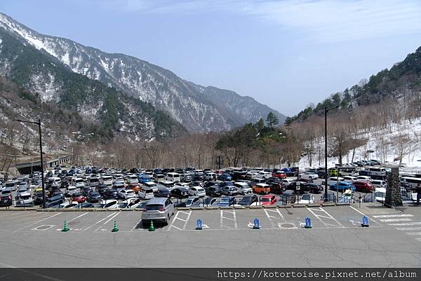 [日本北陸關西] 2025.4 黑部立山,雪牆也太壯觀了吧 