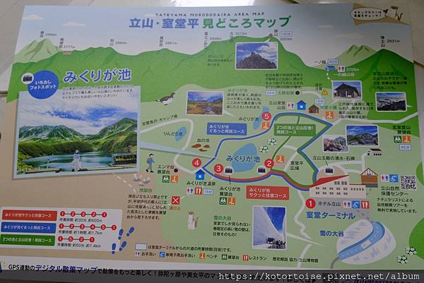 [日本北陸關西] 2025.4 黑部立山,雪牆也太壯觀了吧 