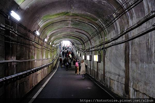 [日本北陸關西] 2025.4 黑部立山,雪牆也太壯觀了吧 