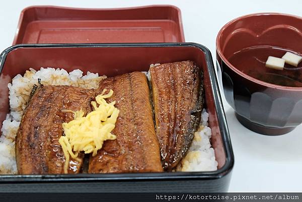 [日本北陸關西] 2025.4 黑部立山,雪牆也太壯觀了吧 