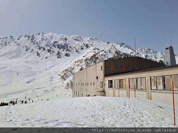 [日本北陸關西] 2025.4 黑部立山,雪牆也太壯觀了吧 